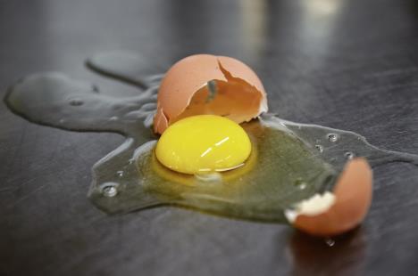 stockphotobrokenchickeneggontheirontablecloseuphorizontalviewarawegg1384308920.jpg