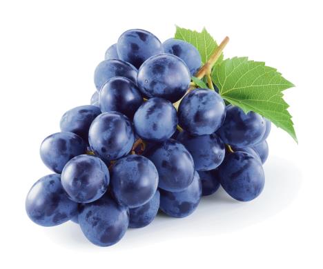 stockphotodarkbluegrapewithleavesisolatedonwhitebackgroundwithclippingpathfulldepthoffield604667843.jpg