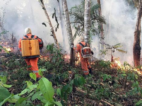 epa-bra02-epa-porto-velho-firefighters-hando.jpg