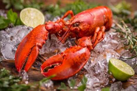 profimedia0264602467-lobster.jpg