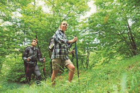 stockphotoyoungcoupleenjoyingnordicwalkinginaforest144120901.jpg