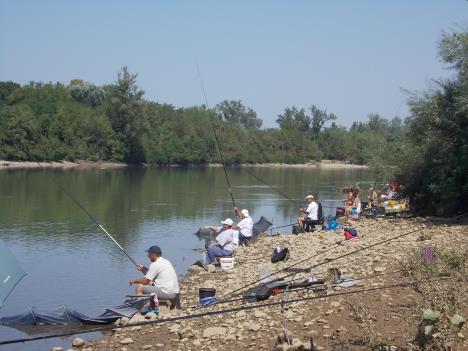 loznica--pecanje.jpg