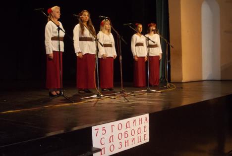 loznica-program.jpg