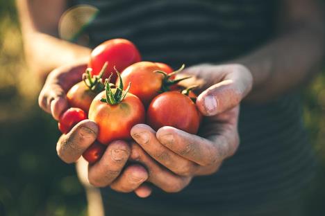 direktna-banka-agro-krediti-vizual-za-kurir.jpg