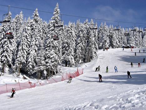 kopaonik.jpg