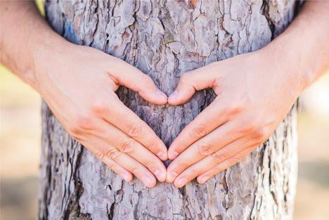 stockphotohandsmakingaheartshapeonatreetreehuggeranatureloverenvironmentalistwitharmswrapped526004818.jpg