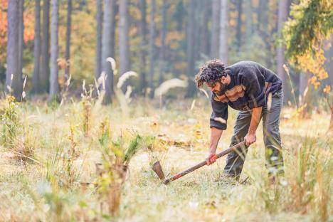 stockphotoforestworkerdigsaholeforthepineseedlingwiththewiedekopfhaue1531375433.jpg