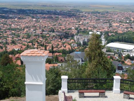 vrsac-panorama-grada.jpg