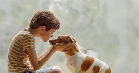 fraj-stockphotochildkissesthedoginnoseonthewindowfriendshipcarehappychildhoodconcept1364606735.jpg