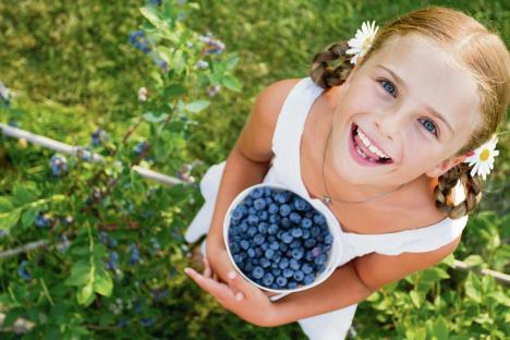 stockphotoblueberriessummerchildlovelygirlwithfreshblueberriesinthegarden128066891.jpg