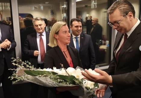 vucic-orhideje-foto-insta.jpg