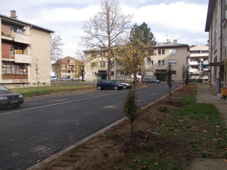 loznica--parking-mesta-i-sadnice.jpg