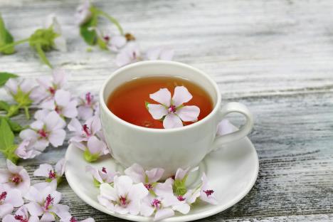 stockphototeafrommarshmallowlatalthaeaofficinalisisgoodagainstcoughwoodenboardisdecorated464927132.jpg