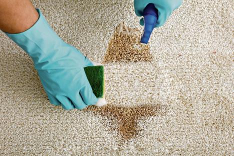 stockphotocloseupofpersonshandcleaningstainwithspongeoncarpet561916720.jpg