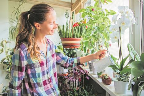 stockphototheattractivewomanwateringflowersintheapartment690054463.jpg