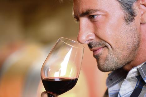 stockphotocloseuponwinemakersmellingredwineinglass112195145.jpg