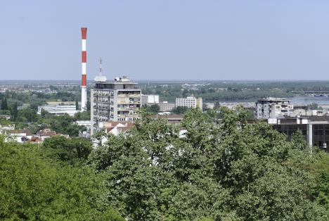 dorcol-foot-dado-djilas