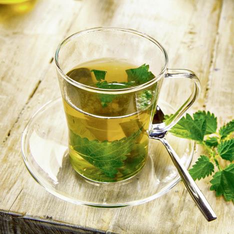 stockphotocupofhealthystingingnettleteawithfreshnettleleavessteepinginboilingwaterinaclear323855234.jpg