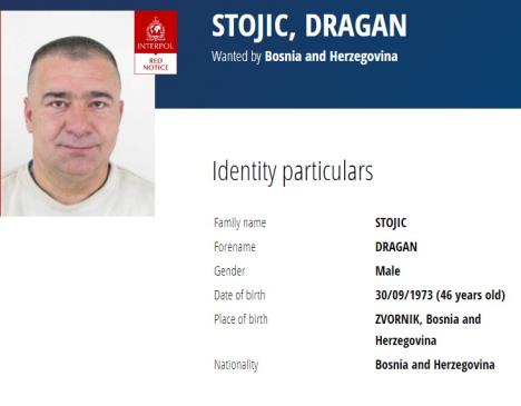 dragan-stojic.jpg