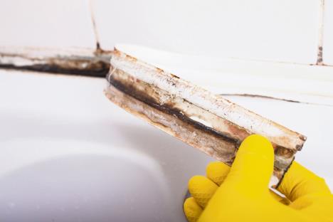 stockphotodirtytilesinabathroomshowerwithsealantcoveredinmouldandmildew776478172-1536-1024.jpg