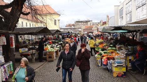 sombor-je-otvoren--i-raduje-se-uredjenju-i-ocuvanju.00-03-52-07.still002.jpg