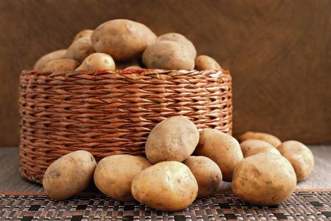 stockphotoalotofpotatoesalotofpotatoesinawickerbasketpotatotubersinwickerwareandscattered698432449.jpg