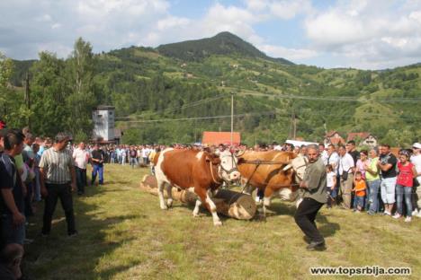 10srb-viseboj.jpg