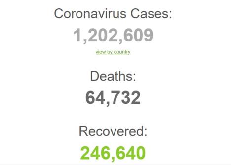 koronavirus.jpg