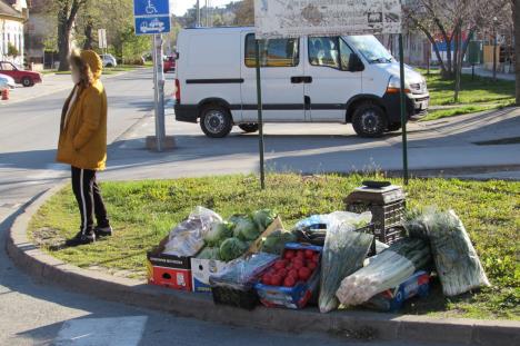 pijaca-pancevo-korona-foto-tanjug-vladimir-dokovic-3.jpg