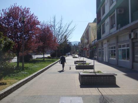 loznica--psi-moraju-napolje.jpg