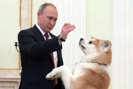 profimedia0308285344-putin-akita.jpg