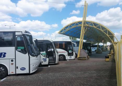 loznica--autobusi-spremni-putnika-nema.jpg