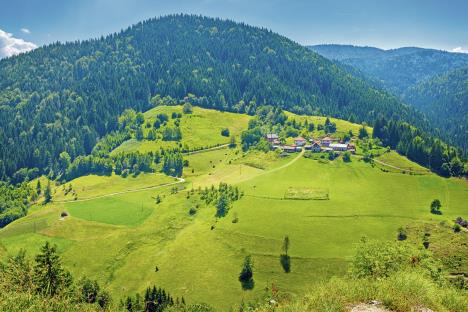 0606zlatar-shutterstock-1463685995.jpg