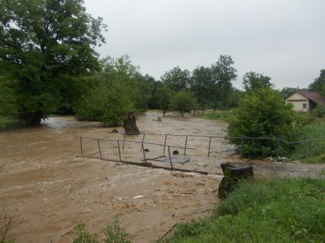 loznica--sstira-u-vocnjaku.jpg