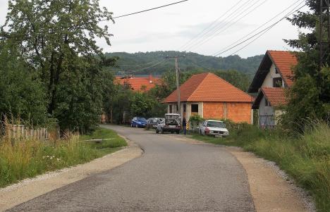 loznica--basscceluci.jpg