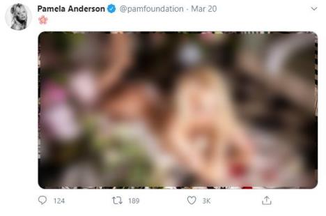 pamela-censored.jpg