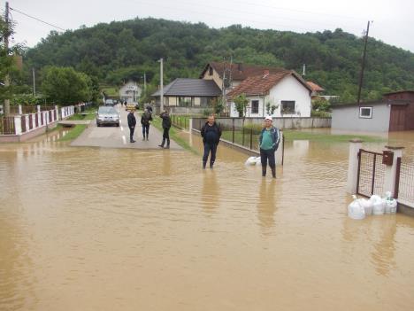 loznica--bradic-poplavljen.jpg