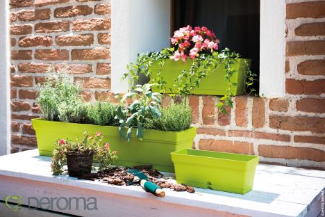 samba-window-box-295080-light-green.jpg