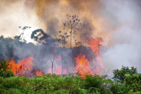 stockphotobrazilianamazonforestburningtoopenspaceforpasture392972116-19-08-2020.jpg