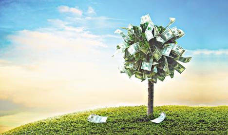 stockphotophotooftreemadeofdollars132181055.jpg