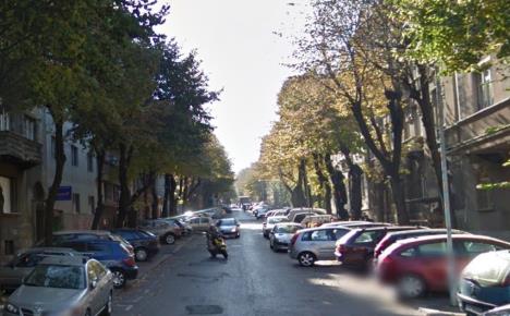palmoticeva-foto-google-instant-street-view.jpg