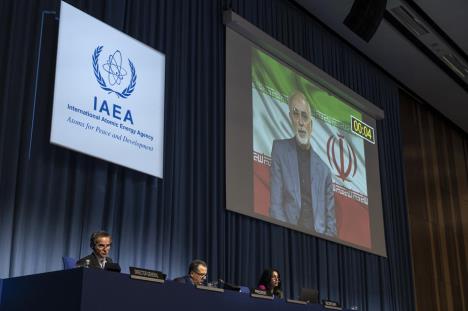 w-56359891-iaea.jpg