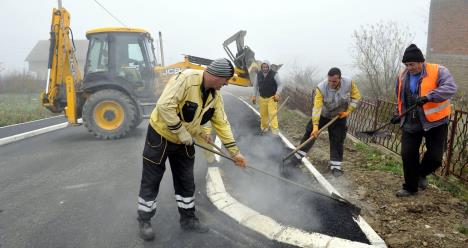 vesic-groblje-kaludjerica-2-beoinfo.jpg