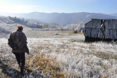 radoje-2-28-11-2020.jpg