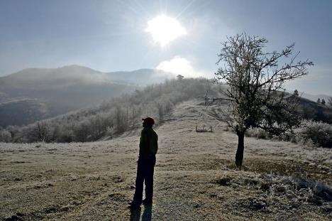 radoje-13-28-11-2020.jpg