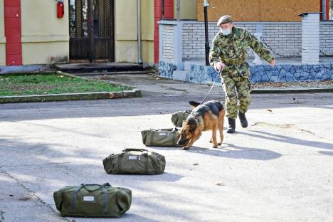 vojni-centar-za-obuku-pasa-nis-foto-ana-paunkovic054.jpg