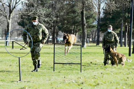 vojni-centar-za-obuku-pasa-nis-foto-ana-paunkovic075.jpg