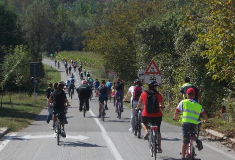 loznica--sada-se-ovako-vozi-ka-trssicu.jpg