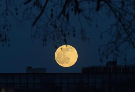 Pun Mesec u Beogradu