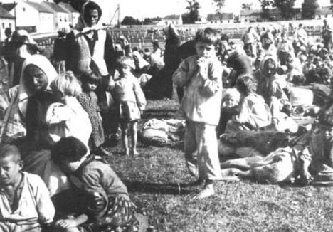 jasenovac.jpg